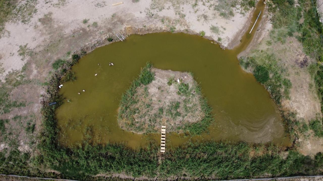 Pensjonat La Finestra Del Delta L'Ampolla Zewnętrze zdjęcie